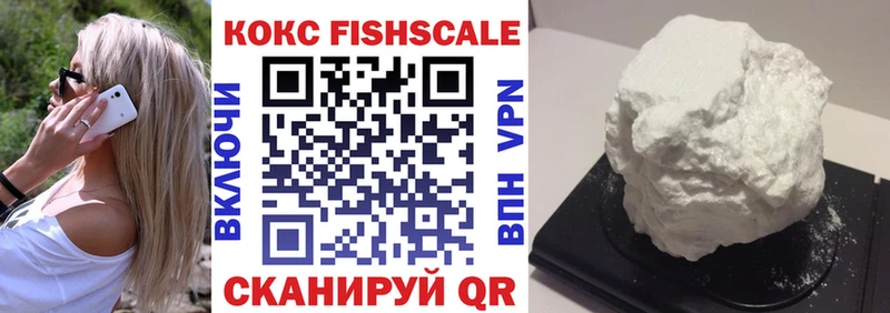 Cocaine FishScale  Купить где  Нолинск 