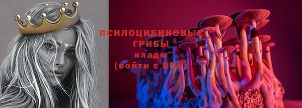 шишки Карталы