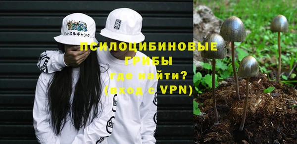 шишки Карталы