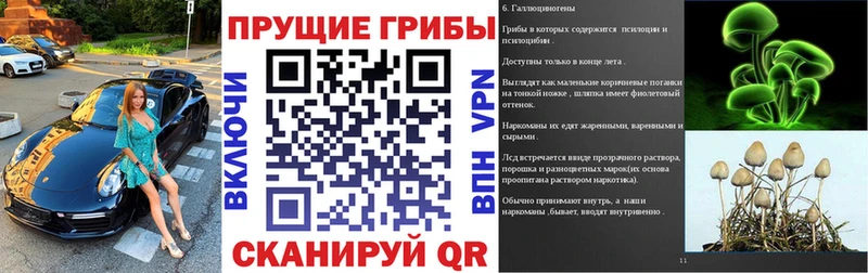 Галлюциногенные грибы Psilocybine cubensis  Купить где  Нолинск 